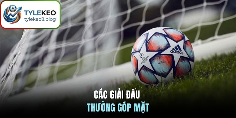Các giải đấu thường góp mặt