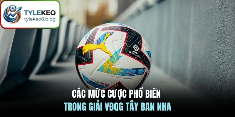 Các mức cược phổ biến trong giải VĐQG Tây Ban Nha