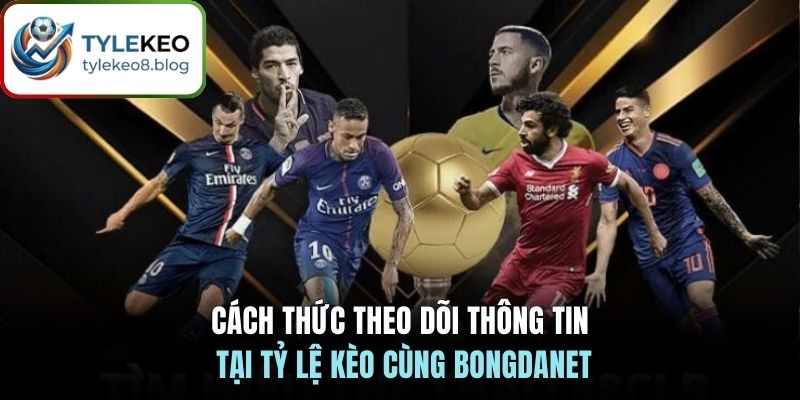 Cách thức theo dõi thông tin tại Tỷ lệ kèo cùng Bongdanet