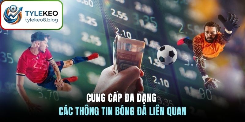 Cung cấp đa dạng các thông tin bóng đá liên quan