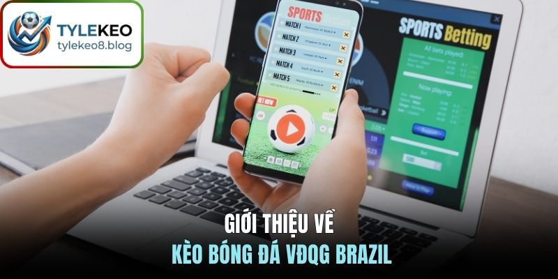 Giới thiệu về kèo bóng đá VĐQG Brazil