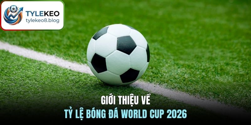 Giới thiệu về tỷ lệ bóng đá World Cup 2026