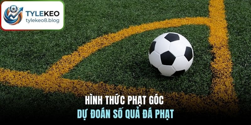 Hình thức phạt góc  - Dự đoán số quả đá phạt