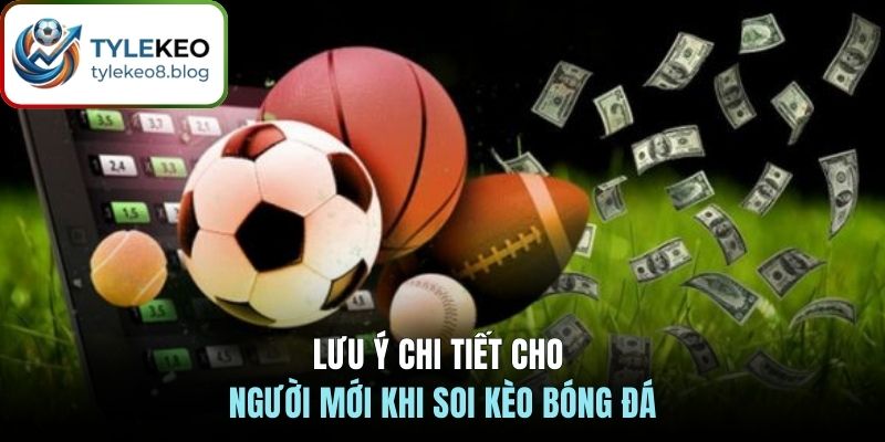 Lưu ý chi tiết cho người mới khi soi kèo bóng đá