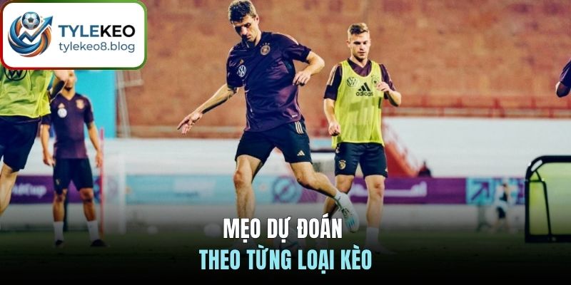 Mẹo dự đoán theo từng loại kèo