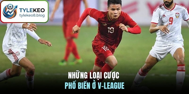 Những loại cược phổ biến ở V-League