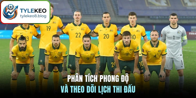 Phân tích phong độ và theo dõi lịch thi đấu