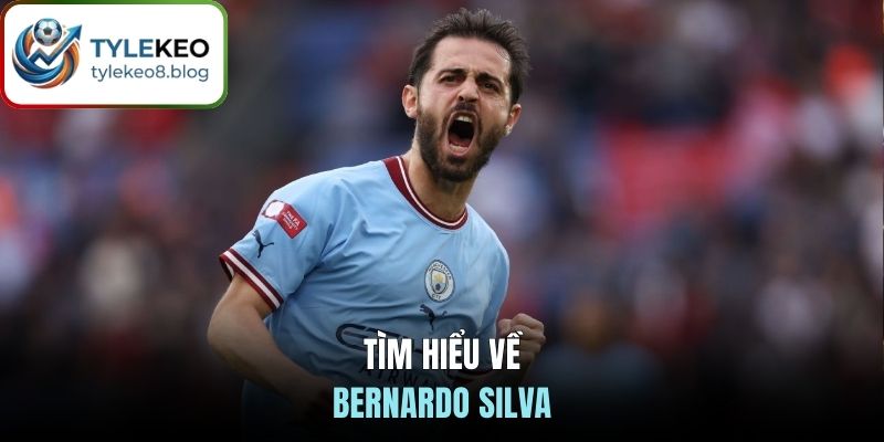 Tìm hiểu về Bernardo Silva