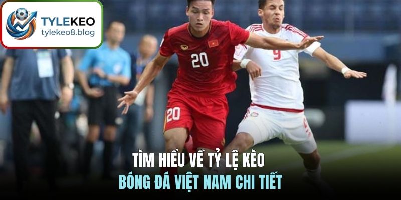 Tìm hiểu về tỷ lệ kèo bóng đá Việt Nam chi tiết