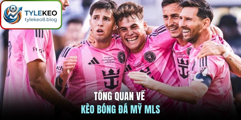 Tổng quan về kèo bóng đá Mỹ MLS