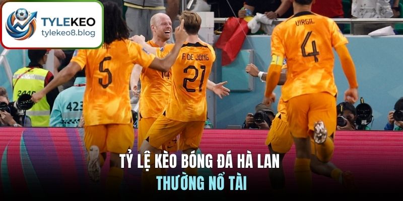 Tỷ lệ kèo bóng đá Hà Lan thường nổ Tài