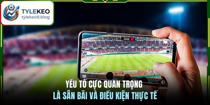 Yếu tố cực quan trọng là sân bãi và điều kiện thực tế